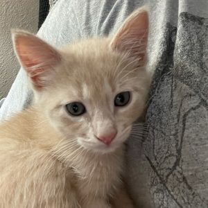 Meet your Posher, Bianca